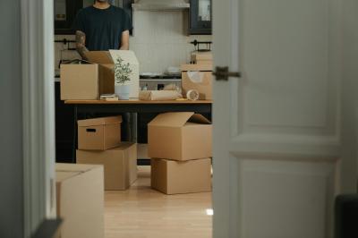 Demenagement — photo 2
